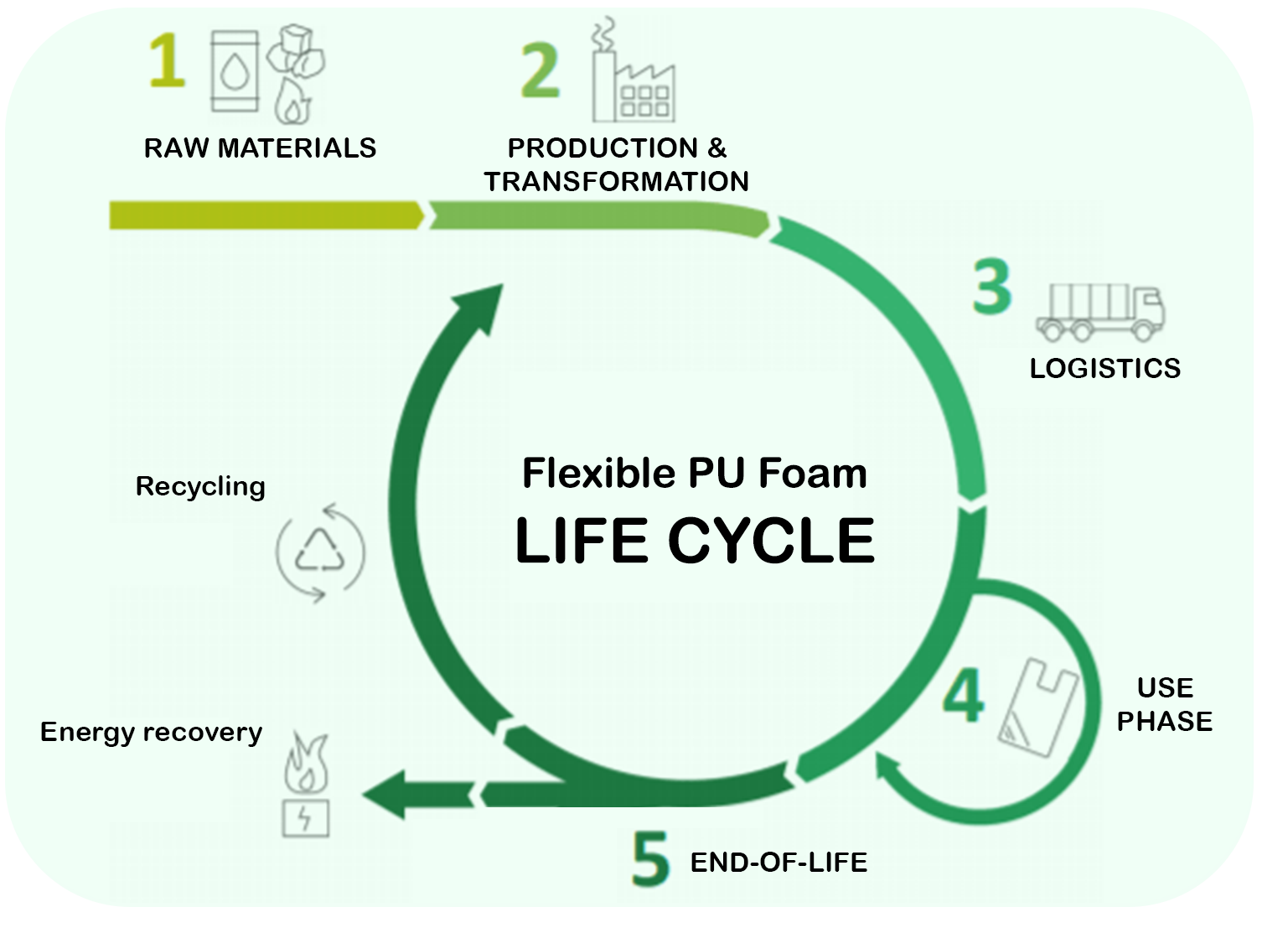 NEW! Novapor packaging made of wood foam: sustainability and